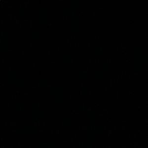 Meet your Posher, Sofia